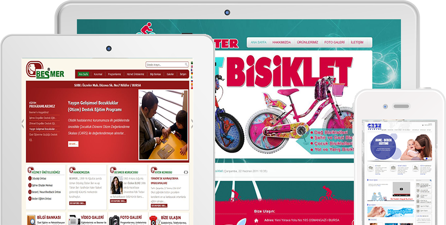 Bursa Nilüfer Web Site Tasarımı
